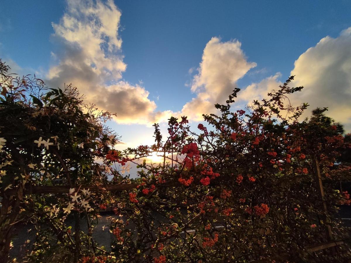 Monte de Brena Casa Robertaヴィラ エクステリア 写真