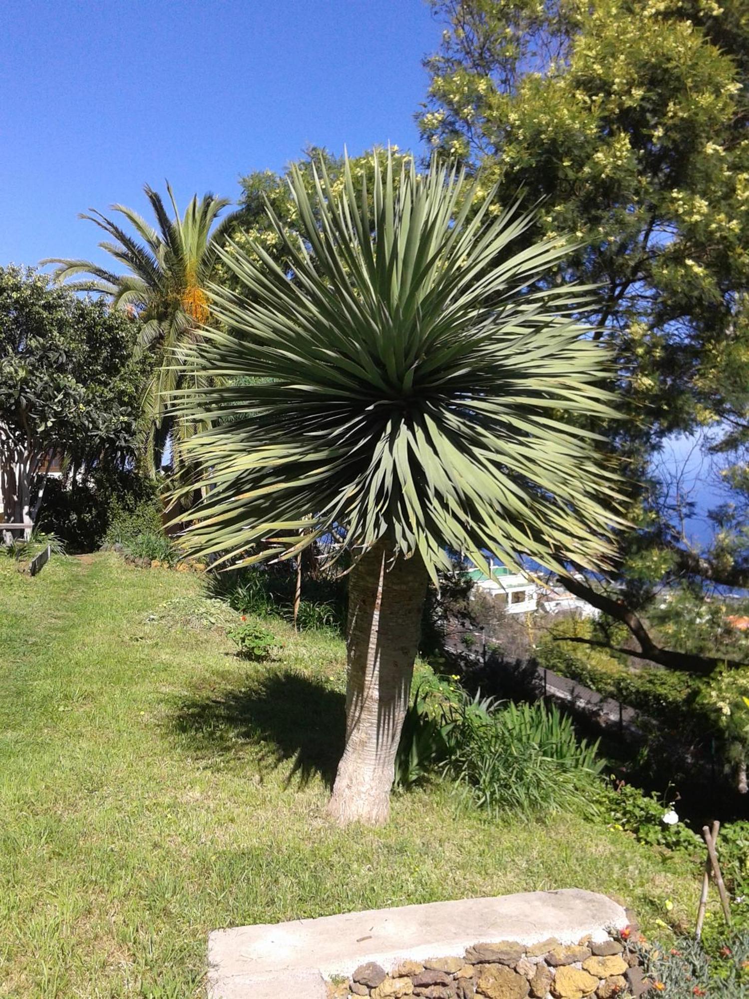 Monte de Brena Casa Robertaヴィラ エクステリア 写真