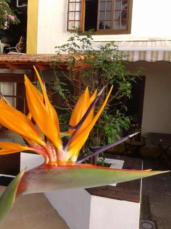 Monte de Brena Casa Robertaヴィラ エクステリア 写真